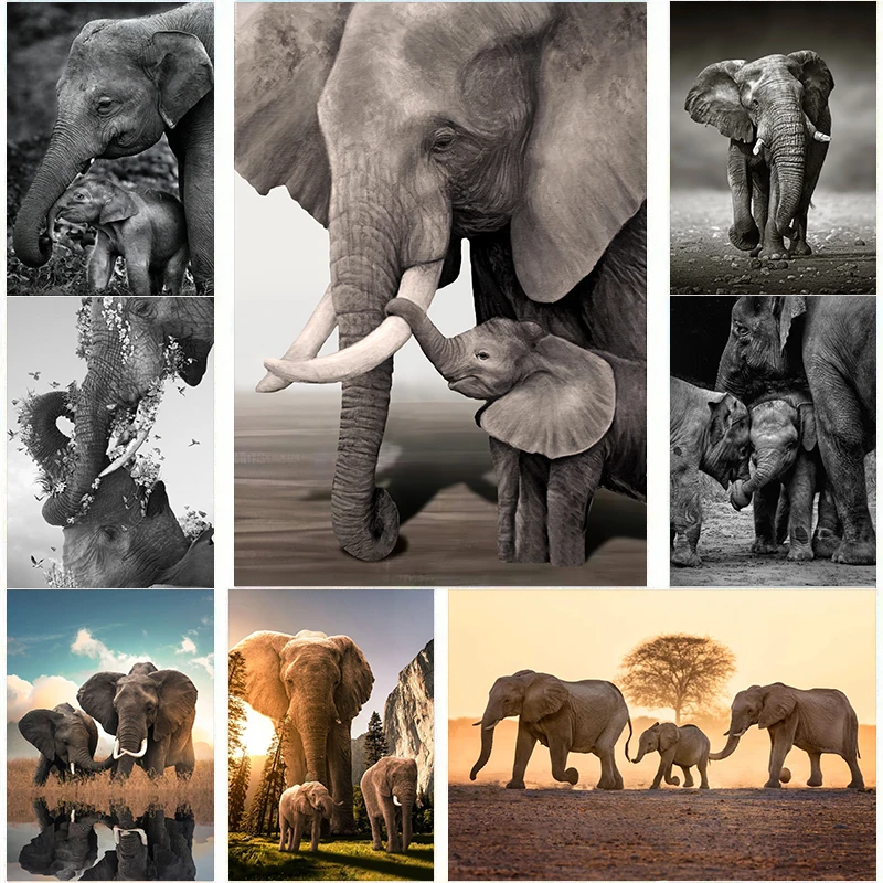 Baby Nursery Images - Carteles de familia de elefantes salvajes,